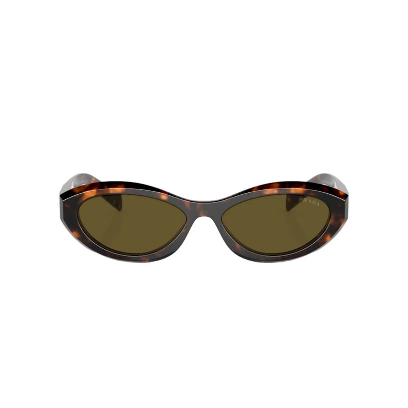 0PR 26ZS - Honey Tortoise