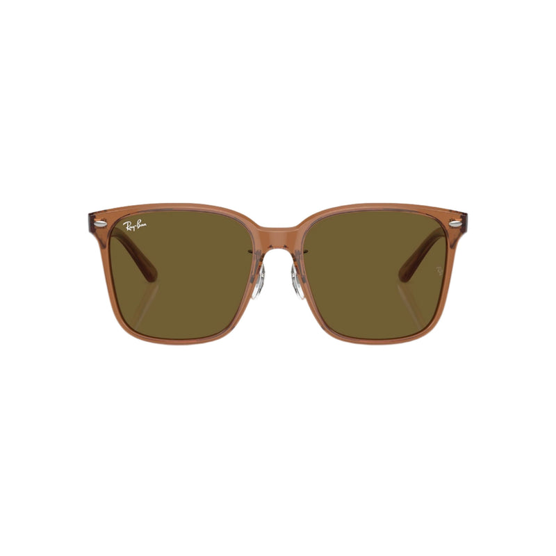 0RB2206D - Transparent Brown