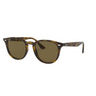 0RB4259 - Light Havana