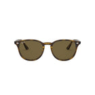 0RB4259 - Light Havana