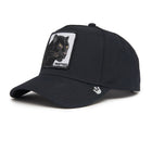Panther Field 100 - Black