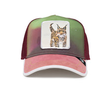 Hyt The Lynx Mauve