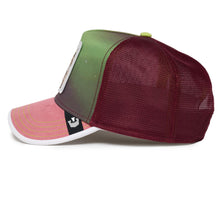 Hyt The Lynx Mauve