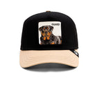 The Guard Dog Black