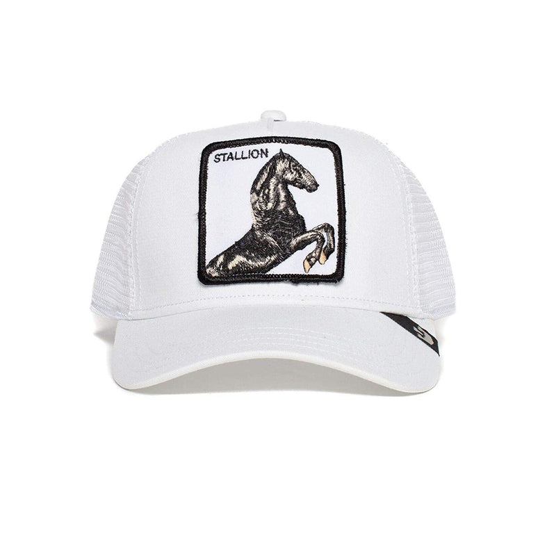 The Stallion - White